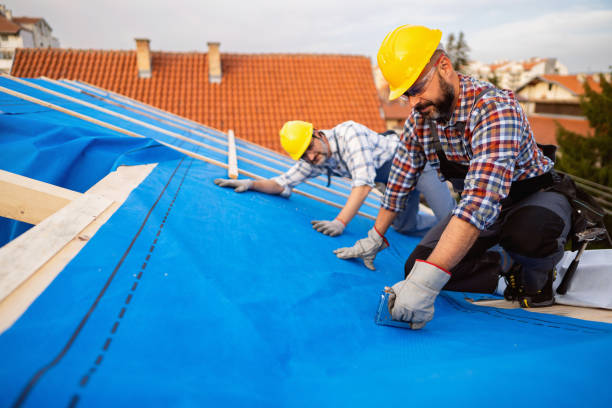 Best Roof Moss and Algae Removal  in Keshena, WI