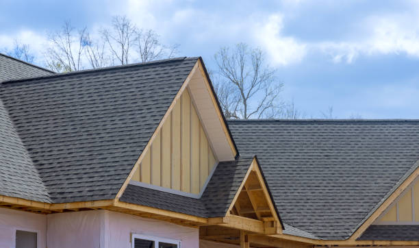 Best Roof Ventilation Installation  in Keshena, WI